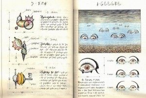 „Codex seraphinianus“ on Itaalia kunstniku Luigi Serafini poolt kolmekümne kuuga loodud illustreeritud entsüklopeedia imaginaarse maailma kohta, ilmus 1981. aastal 5000-eksemplarises tiraažis.