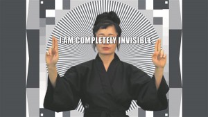Hito Steyerli videos demonstreeritakse virtuaalse arvutimängu näota figuure ja Steyerlit ennast, kes, kimono seljas, seisab rohelise ekraani kõrval ja demonstreerib kadumise tehnikaid kujunditest küllastunud maailmas.