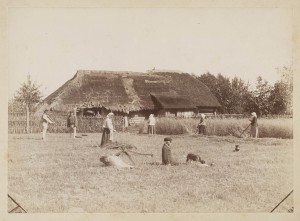 Talutööd Kolmetarga talus Randivälja külas_foto_Mihkel Tilk, 1887_ERM.