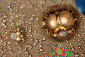 Tavo Romann. EMImBF4 ioonse vedeliku lagunemine kõrge pinge all (kategooria „Mikroskoobipildid“). Optilise mikroskoobi pilt mõõtudega 800x600 mikromeetrit. 