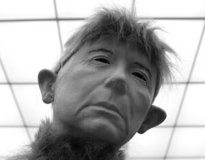 Ülevaatenäitus – kellele ja milleks?