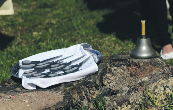 Mitte ainult Tallinna &uuml;likoolist