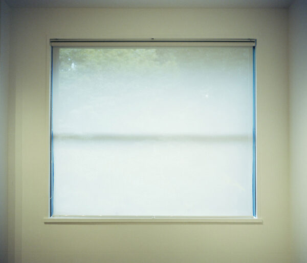 Krista Mölder & Helena Tulve Hobusepea galeriis