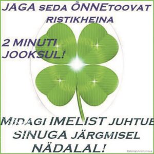 Mida k&otilde;nelevad Facebooki ahelpostitused &uuml;he ear&uuml;hma kohta