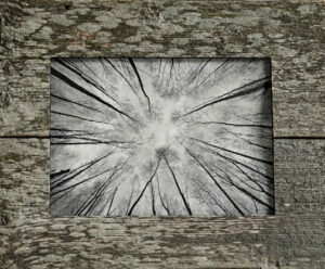 Vestlusõhtu Kaupo Kikkasega Uue Kunsti Muuseumis