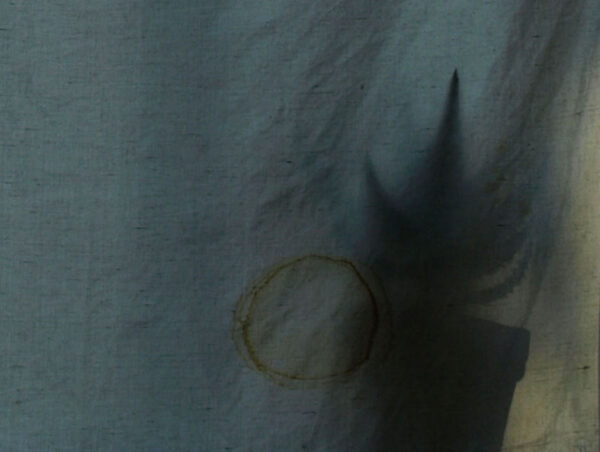 Elis Saareväli Draakoni galeriis