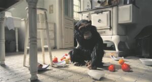 Auhinnakultuurist filmikunstis