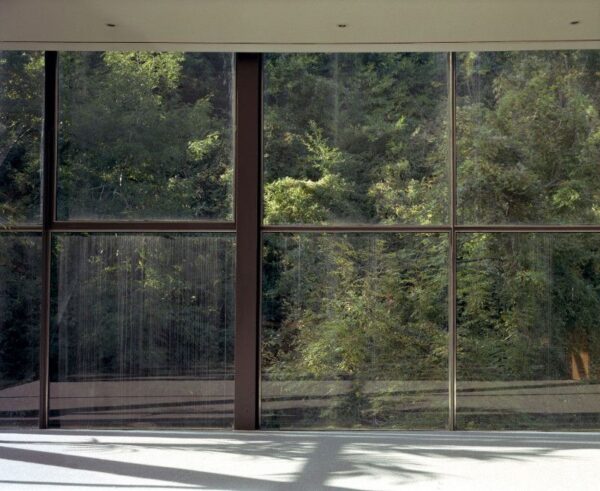 Armastus ja kirg rahvusvahelisel näitusel Tallinna Kunstihoones