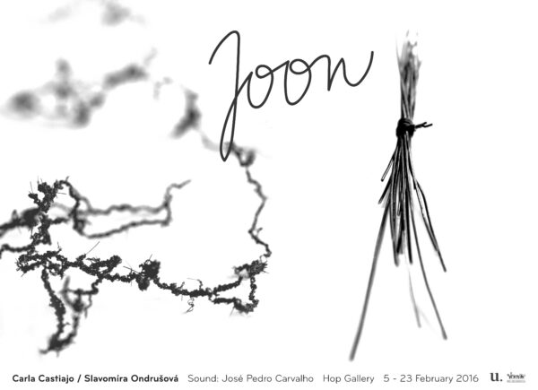 Carla Castiajo / Slavomíra Ondrušová näitus “JOON” Hop galeriis