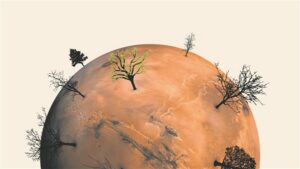 Nagu sees, nõnda ka väljas