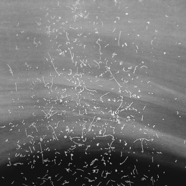 Ülle Raadiku näitus “Aknad” Hop galeriis