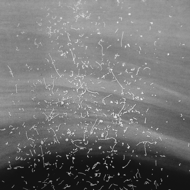 Ülle Raadiku näitus “Aknad” Hop galeriis