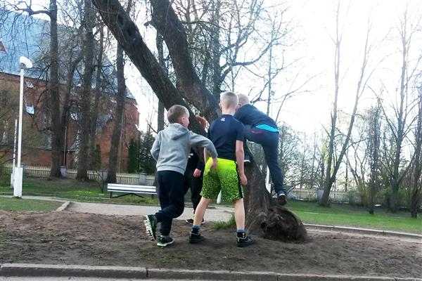 Linnas võiks puu otsa ronimine olla normaalne asi, nagu ka poriloigus solberdamine.