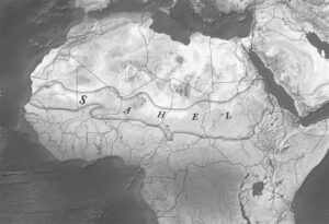 Tagasi Türki! Tagasi kuhu?