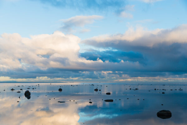 Kopli liinidel toimub kultuuri- ja tänavafestival