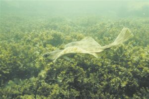 Inimkonna ja mere ajas muutuvad suhted