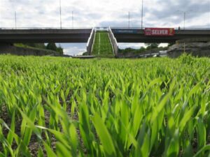 Kuidas sekkuda l&otilde;petamata Lasnam&auml;esse?