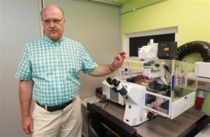 Kookospalmide viirustest HI- ja Zika viiruseni