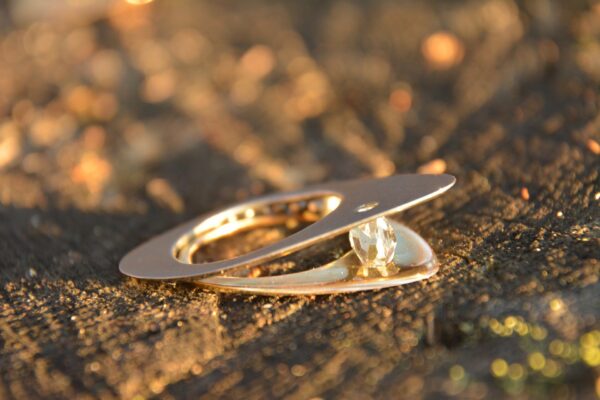 Ehtekunsti näitus  „Symbiosis 3“  Lihula mõisas