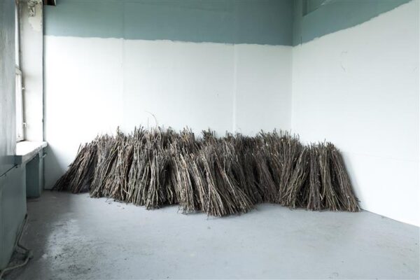 Millal maksad memme vaeva?