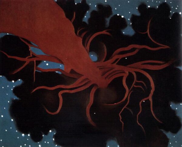 Teekond Pinus ponderosa&rsquo;ni