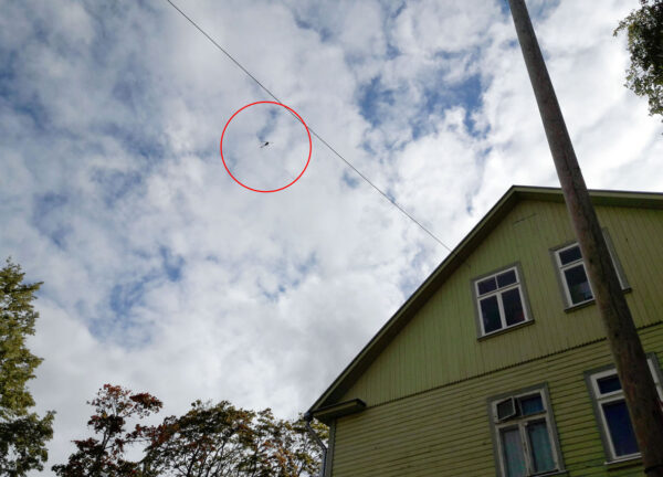 Karel Koplimets Hobusepea ja Draakoni galeriis