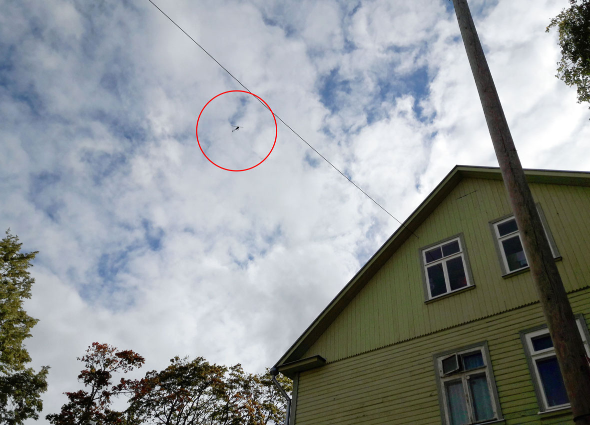 Karel Koplimets Hobusepea ja Draakoni galeriis