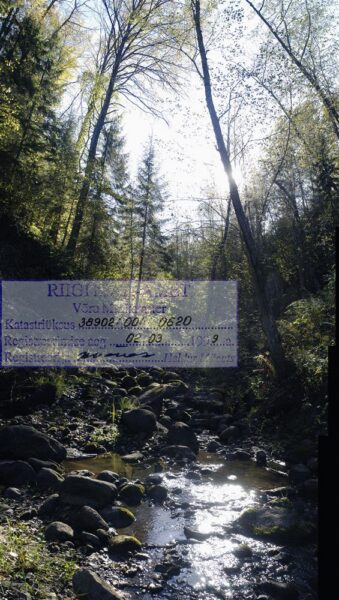 Eesti metsast on varsti  j&auml;rel ainult kulissid