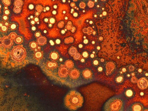 Hariduss&uuml;steemi uued astmed