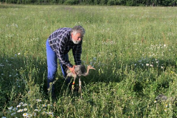 Teele, teele, kurekesed ehk Uue r&auml;ndeparadigma j&auml;lil