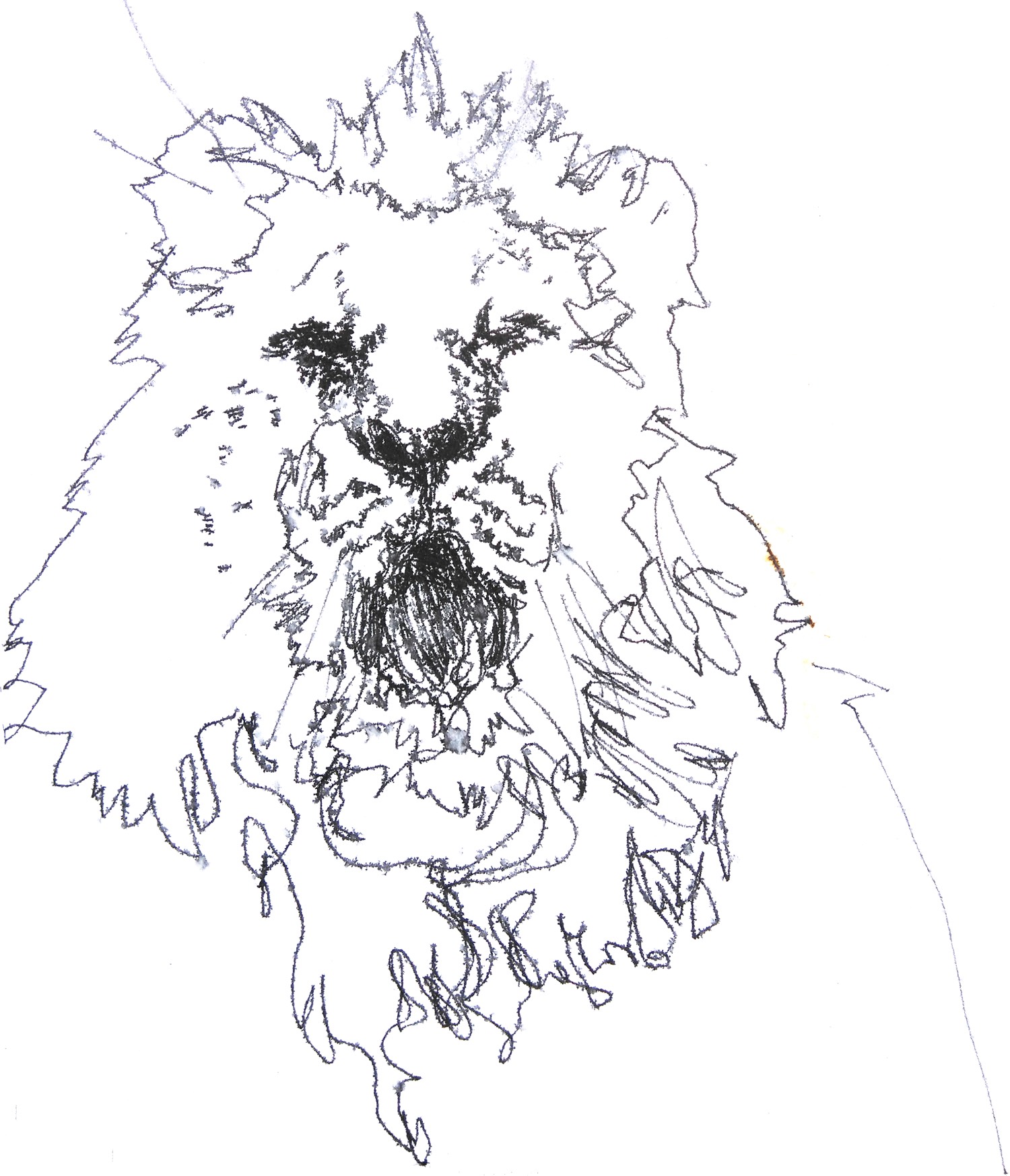 Vilde muuseumis avatakse näitus hinge ja vaimu olemuslikkusest