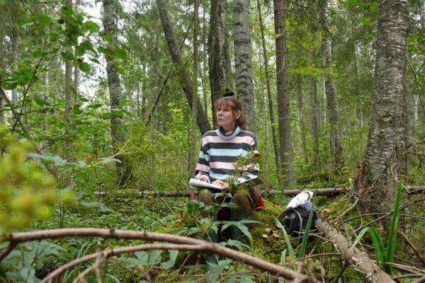 Elurikas mets on v&auml;&auml;rtus