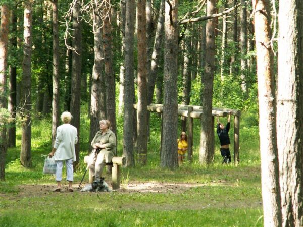 Linnamets pole vaid loodusand