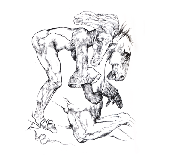 Loomad m&uuml;toloogias ja religiooniloos