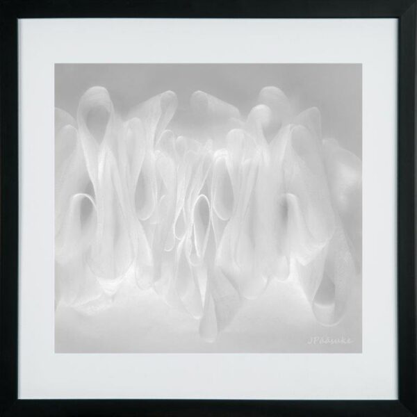 Jaan Pääsuke KONDASE KESKUSES