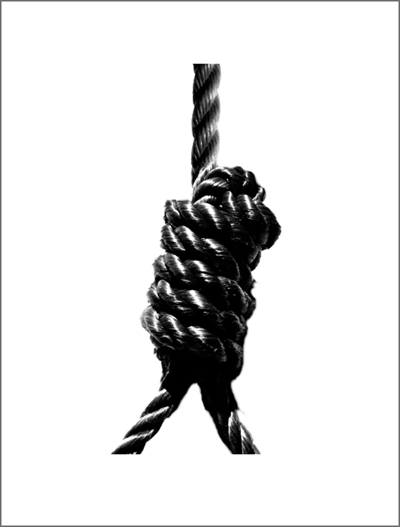 Laivi & Mihkel Maripuu Hobusepea galeriis