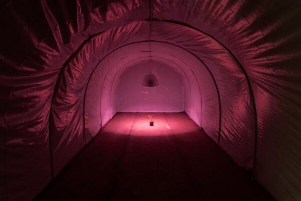 Kuidas saada v&auml;lja omaloodud l&otilde;ksudest?