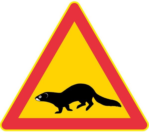 Euroopa naaritsa tagasitulek