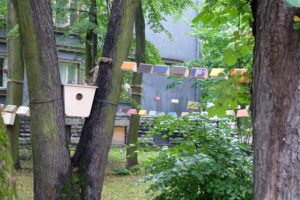 Isekirjastaja happy end