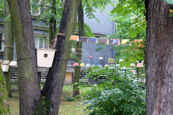 Isekirjastaja happy end