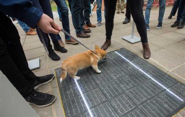 Seal, kus l&otilde;peb asfalt, algab nutitee