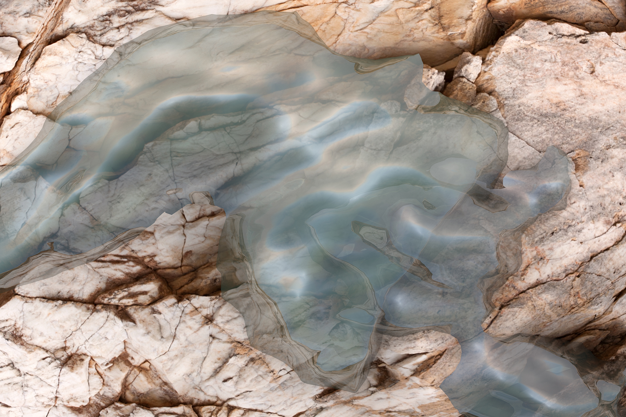 Õllek ja Viiart Hobusepea galeriis