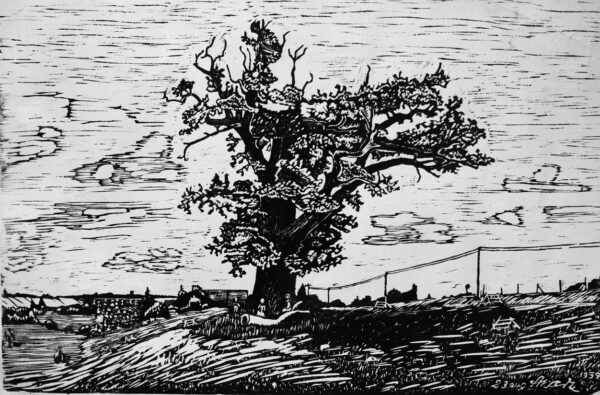 ARNOLD KARU 100 Kondase Keskuses