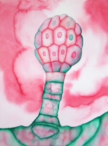 MALINID Uue Kunsti Muuseumis