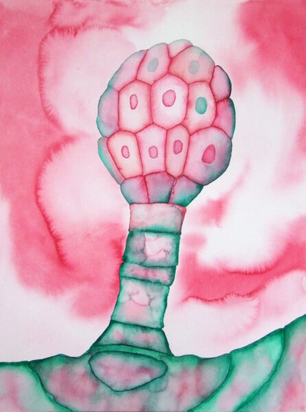 MALINID Uue Kunsti Muuseumis