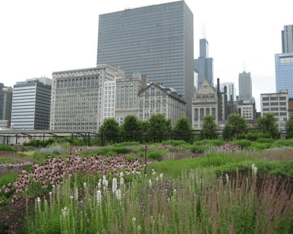 Taass&uuml;nniraamat