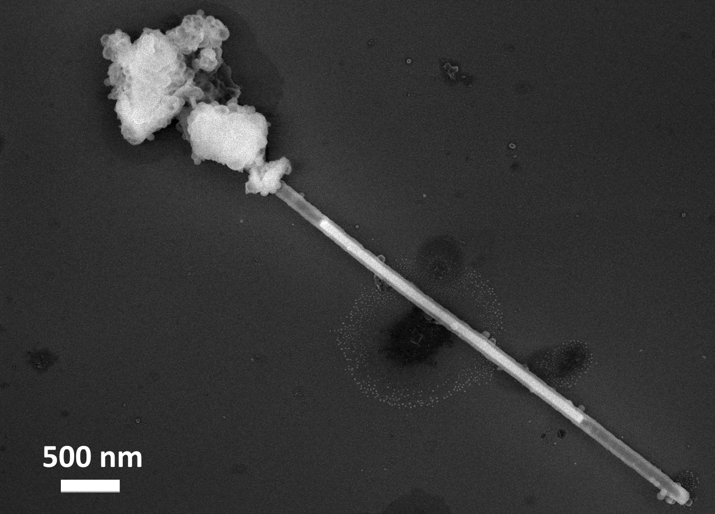 Eesti parimad teadusfotod 2017