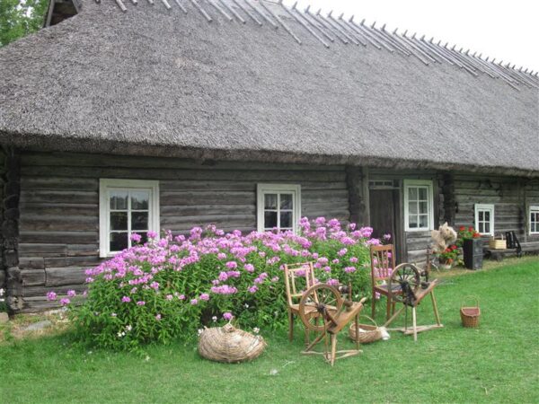 Pildilt maas  &ndash; Eesti keel kui kultuurip&auml;rand ehk  Rehilauluga regielamusse