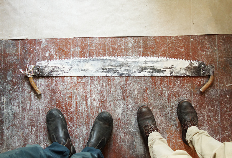 Lütjohann & Sepsivart Hobusepea galeriis