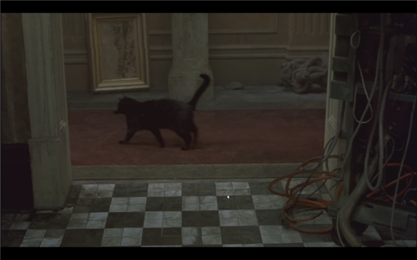 Arvutim&auml;ngust armulauani